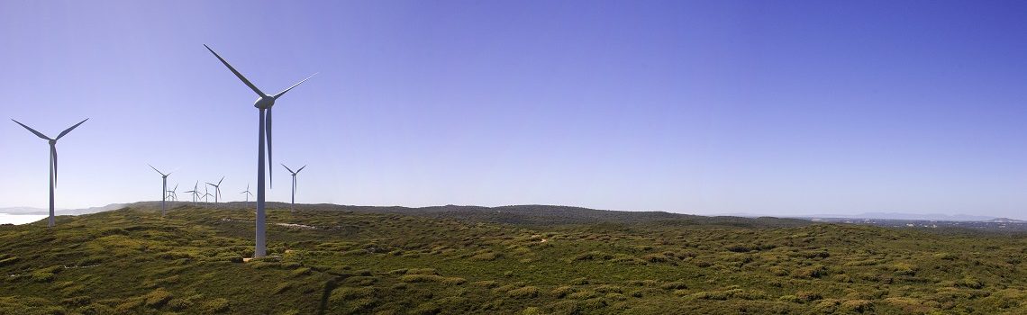 Vogliamo un mondo più sostenibile